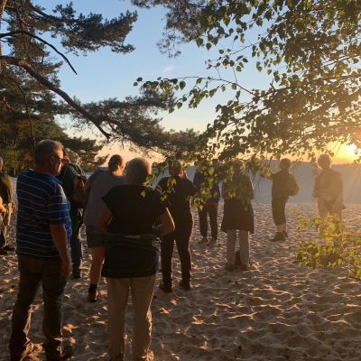 Soester Wandelchallenge: 20 weken samen wandelen in de natuur